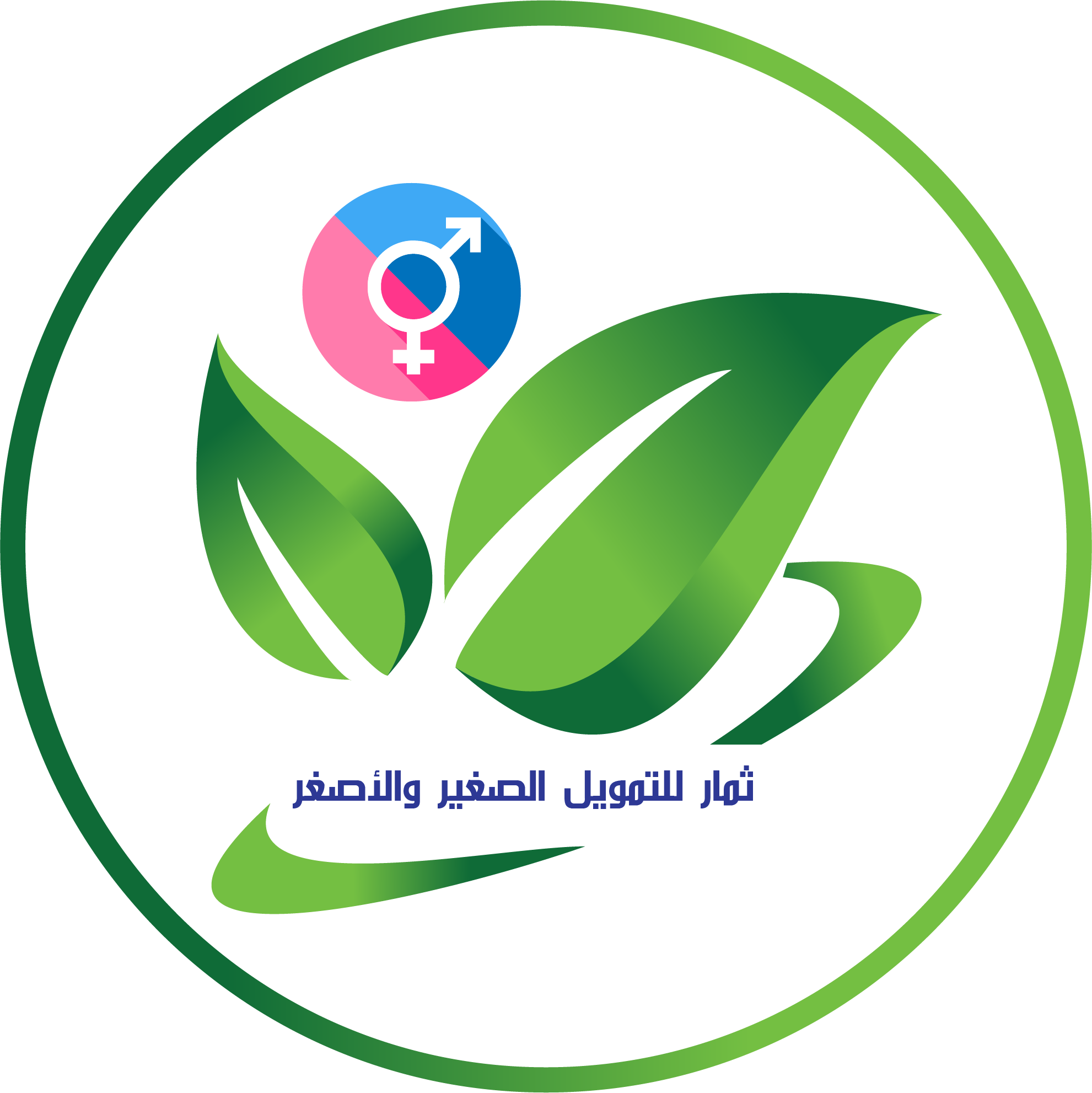 خطة المساواة بين الجنسين ETFM